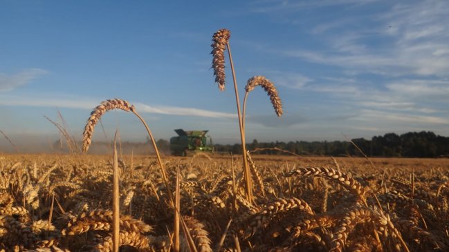 Consorcio agrícola y SNA interpusieron demanda civil contra el SII