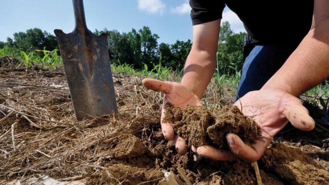 La FAO alerta de las 