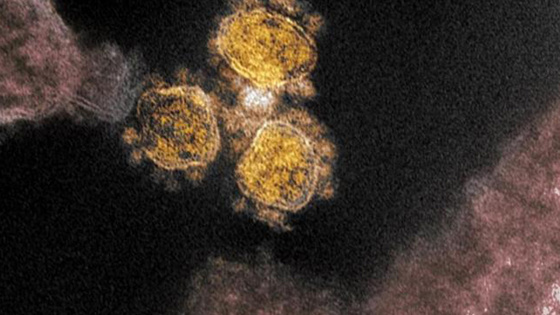 La variante identificada en India es 50% más transmisible que la 