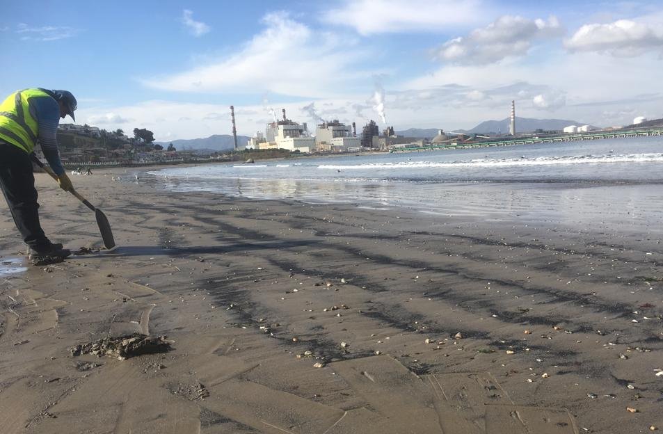 Chahuán y Latorre piden a empresas no apelar fallo que prohíbe ingreso de carbón a bahía de Quintero