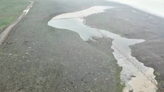 Ambientalistas se oponen a loteo en Arcos de Calán inundado por marejadas en Pelluhue
