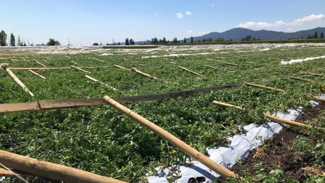 Agricultores de O’Higgins afectados por lluvias y granizadas recibirán ayuda para recuperar infraestructura dañada