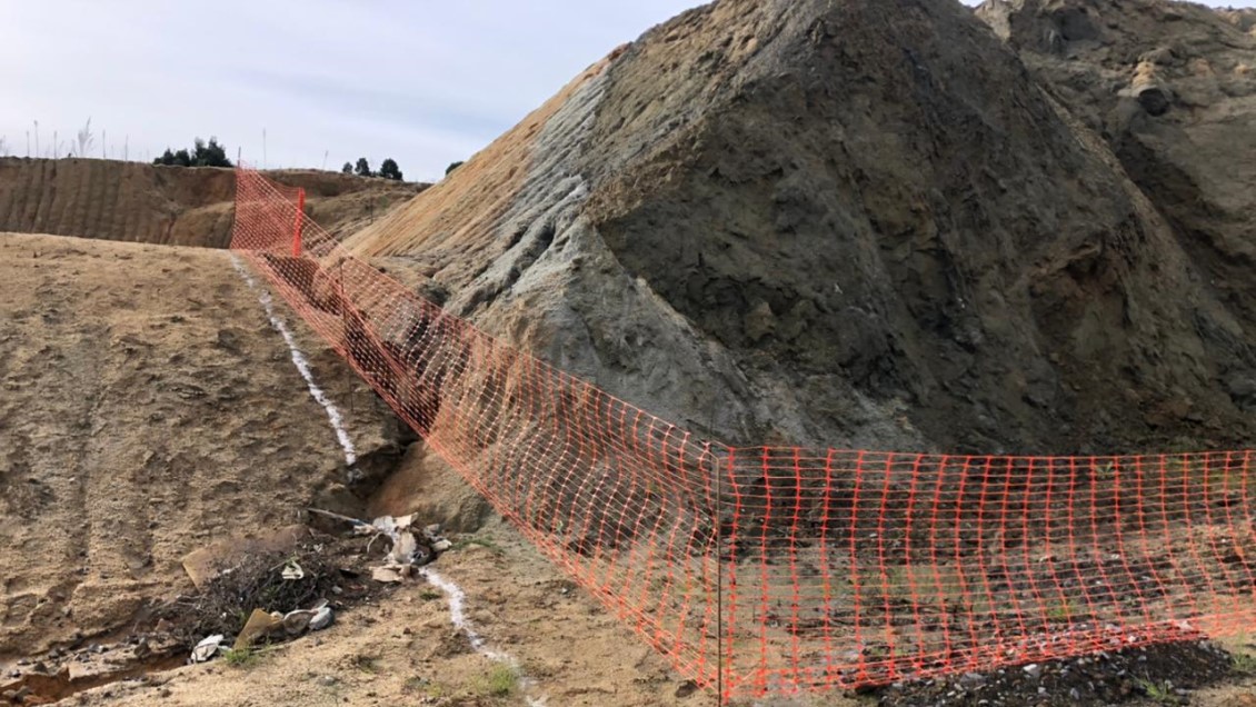 Consejo de Monumentos Nacionales constató daño a fósiles durante faena en Penco