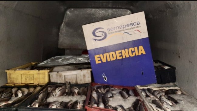 Sernapesca incautó más de 6,5 toneladas de recursos pesqueros en O’Higgins