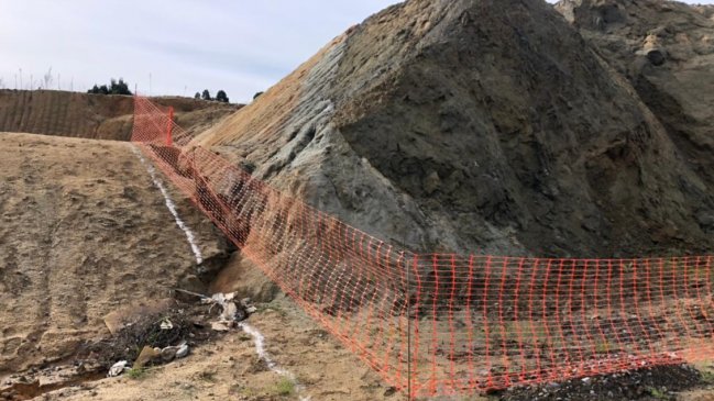 Consejo de Monumentos Nacionales constató daño a fósiles durante faena en Penco