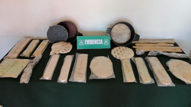 En menos de 24 horas perros antidrogas detectaron a siete extranjeros con sustancias ilícitas