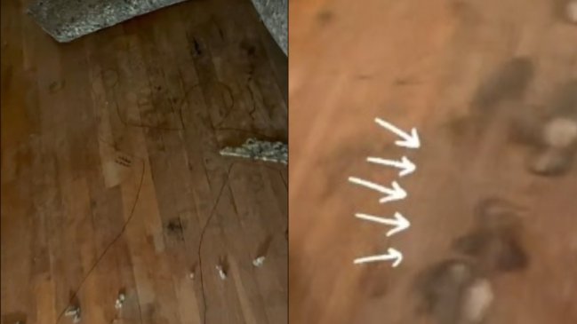 Compró una casa y descubrió manchas de sangre y una silueta humana