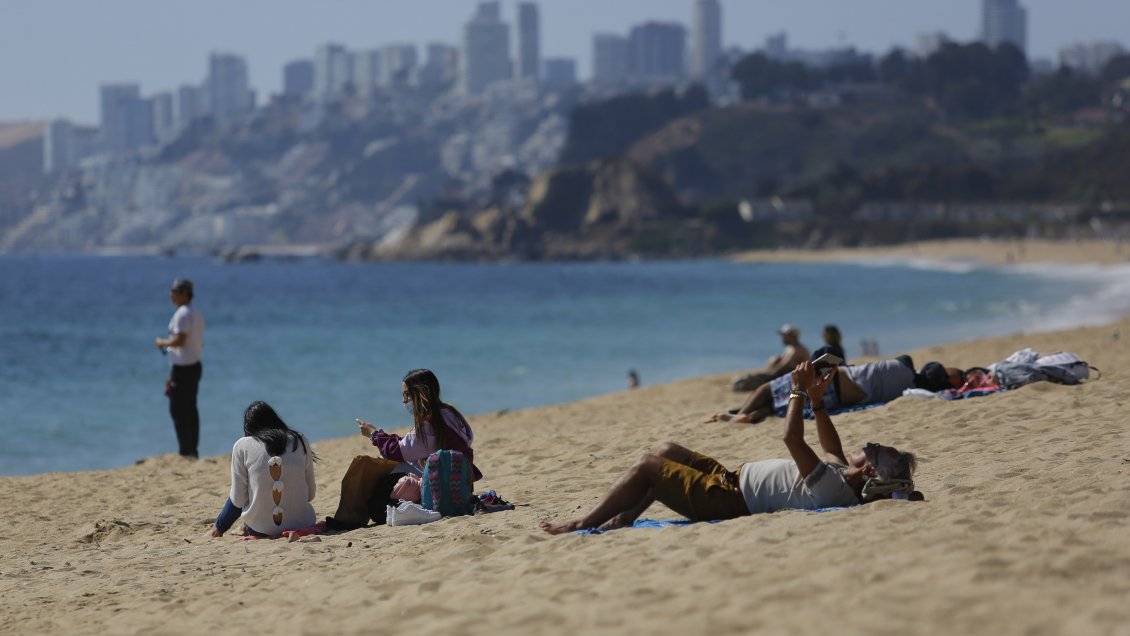 Diputada quiere que playas tengan 