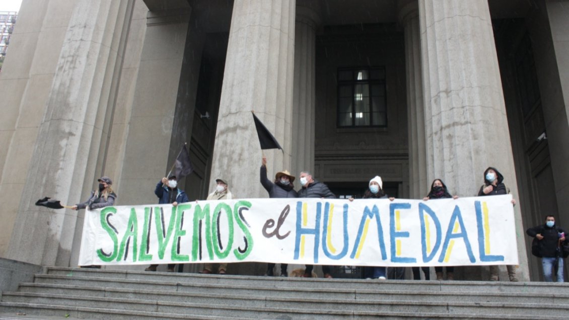 Vecinos de Los Molles presentan recurso para proteger humedal cercano a edificio en construcción