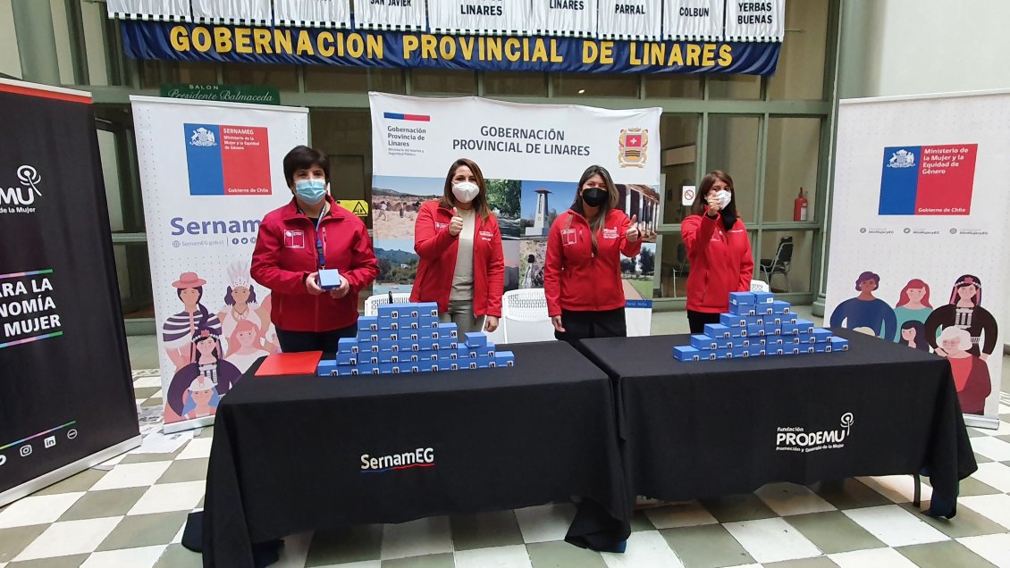 Mujeres del Maule son beneficiadas con dispositivo de emergencia para sobrevivientes de violencia