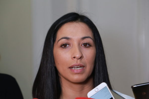 Seremi de Gobierno de Magallanes presentó su renuncia