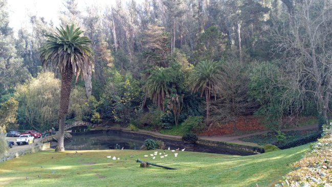 Abren sumario sanitario contra Esval por vertimiento de aguas servidas en Viña del Mar