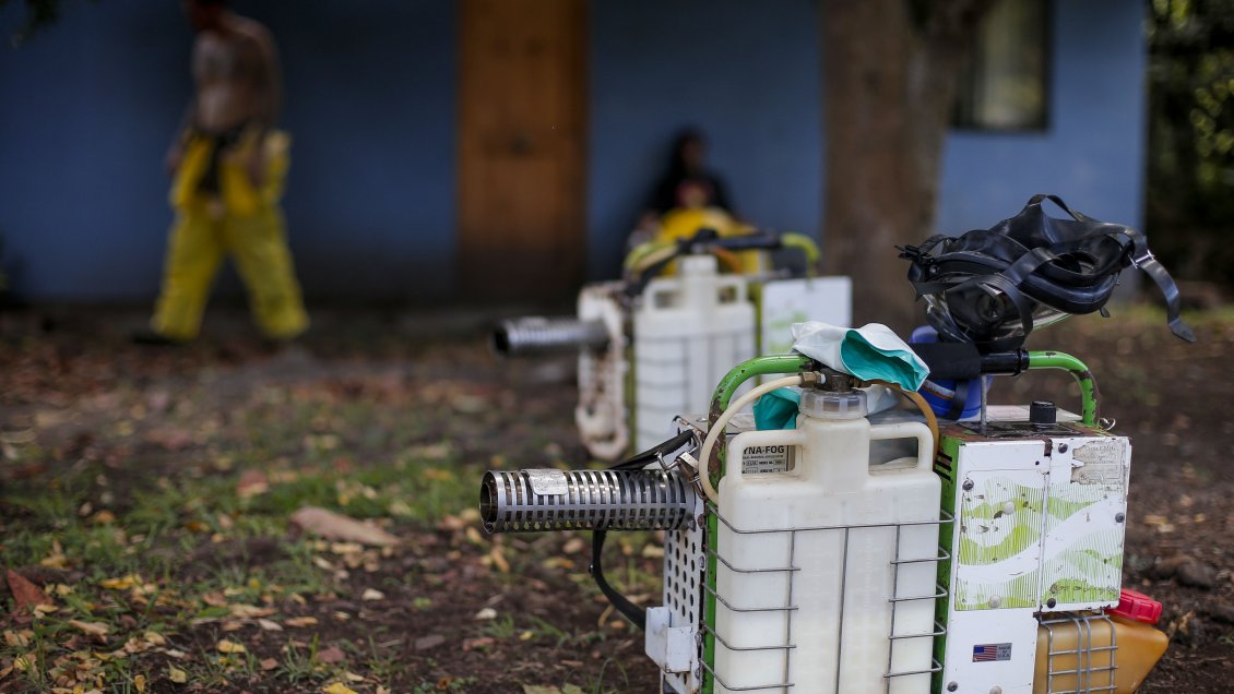 Ingeniero agrónomo advirtió sobre peligrosidad de 99 plaguicidas autorizados por el SAG