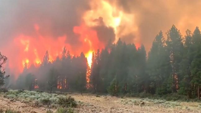 El mayor incendio activo en EE.UU. supera las 80.000 hectáreas calcinadas