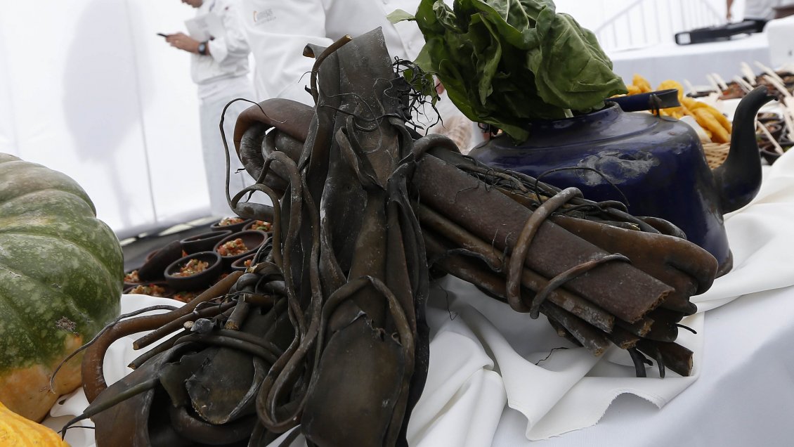 Piloto de recetas con cochayuyo tuvo rotundo éxito entre escolares