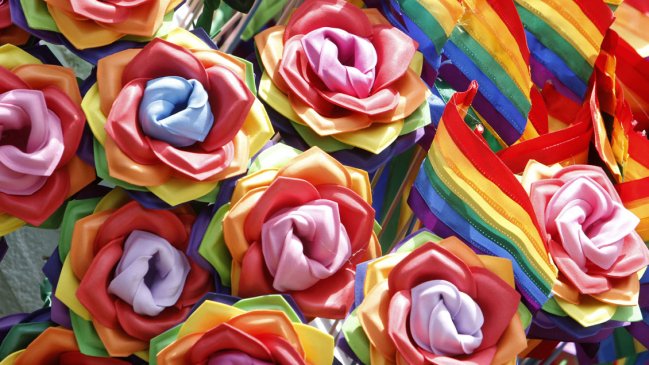 Movilh valoró avance del matrimonio igualitario como 