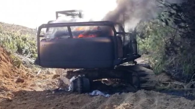 Contratistas forestales en el Biobío: 