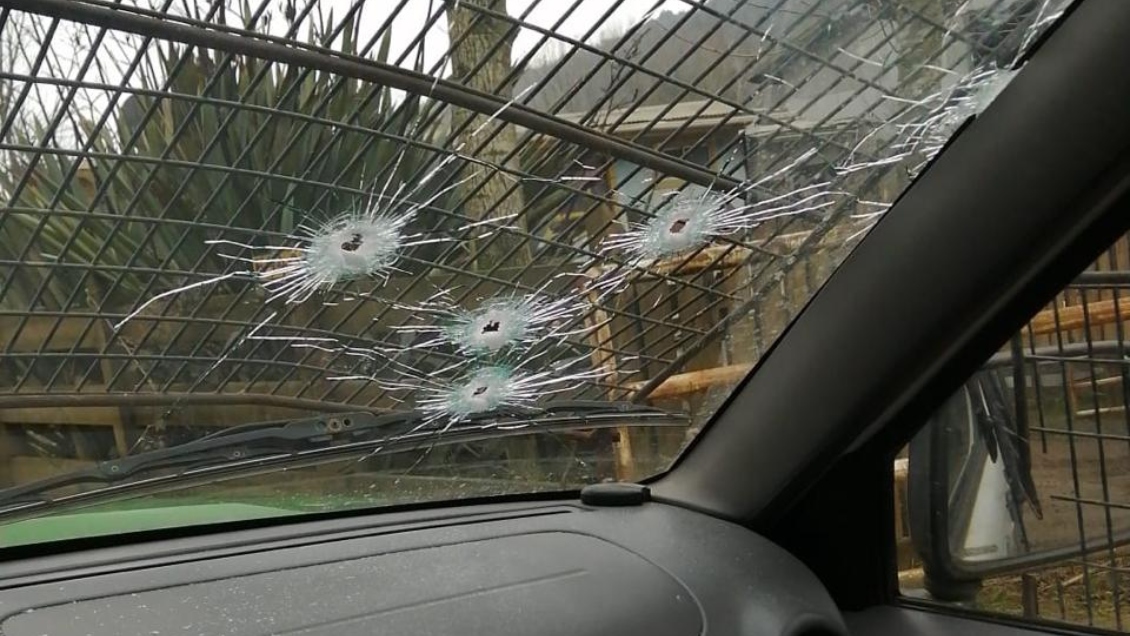 Dos carabineros resultaron heridos tras ráfaga de disparos contra patrulla en Tirúa