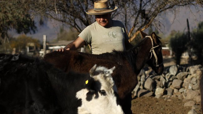 Se abrió concurso que busca rescatar la cultura rural y campesina