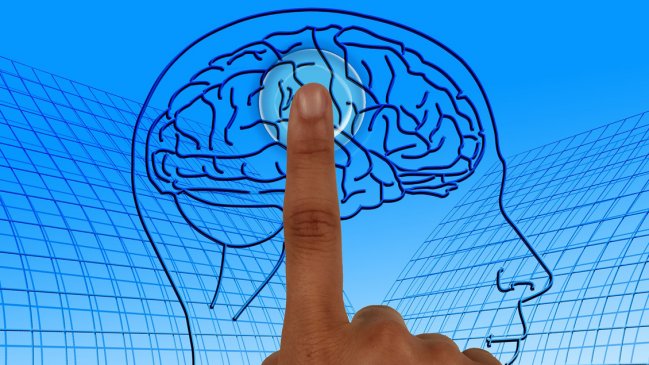 Reforma constitucional que consagra los neuroderechos dio otro importante paso en el Congreso