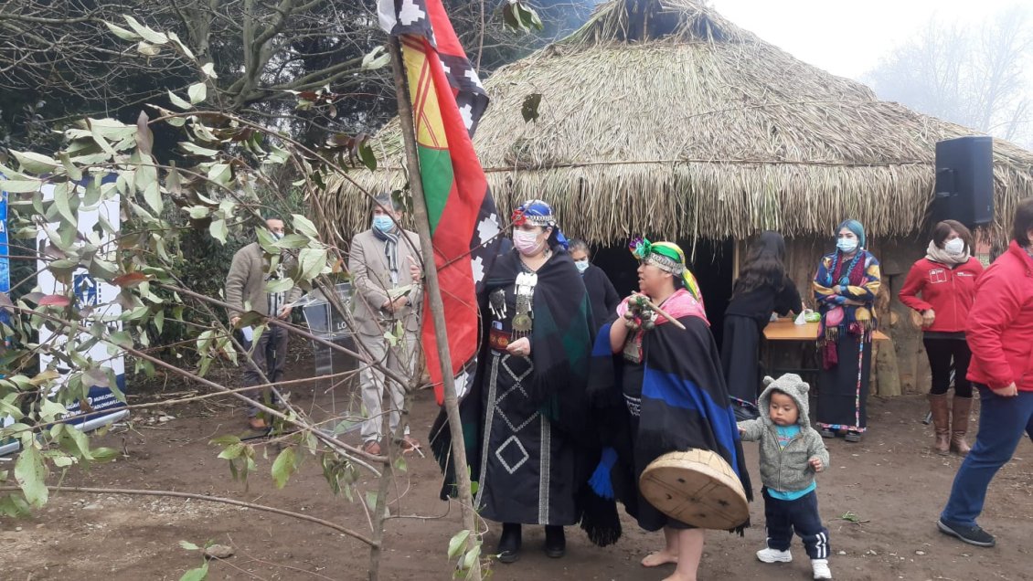 Pueblos originarios inauguraron ruca intercultural en Longaví