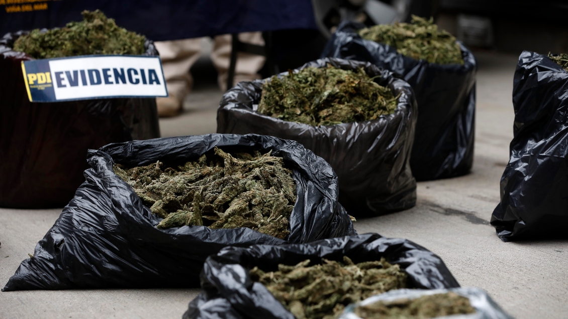 PDI incautó 30 kilos de marihuana y detuvo a ocho sospechosos de narcotráfico en Santiago