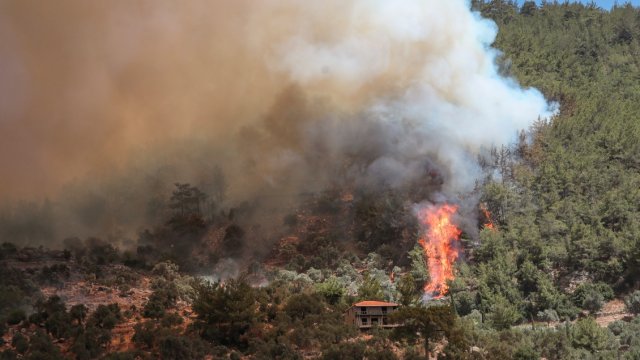 [Fotos] Forest fires hit southern and western Turkey