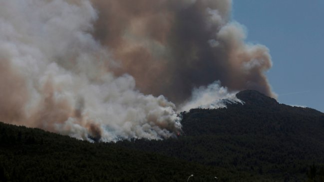 Ola de calor y viento desatado: Las dificultades de los descontrolados incendios forestales en Grecia