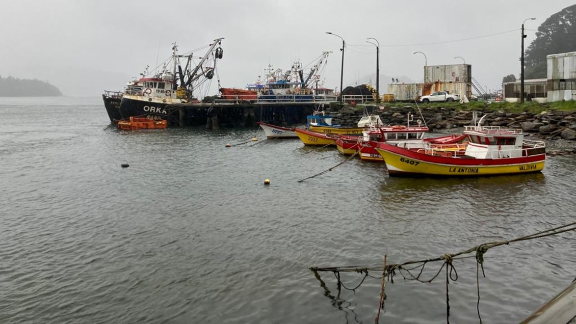 Caleta Huiro tendrá nuevas luminarias y un acceso pavimentado en enero