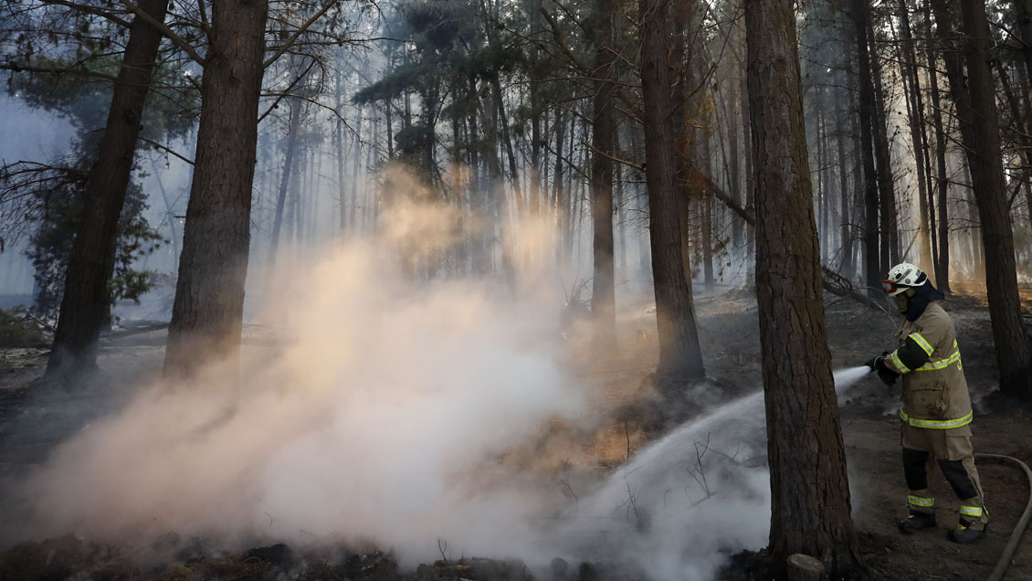 Inusual Ocurrencia De Incendios Forestales En Invierno Obligó A Conaf A Adelantar Su Plan De 9838