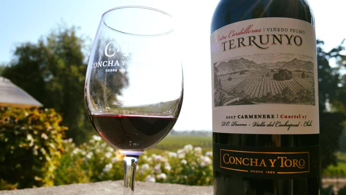 Senador Castro pide explicaciones por millonarios subsidios de riego a 