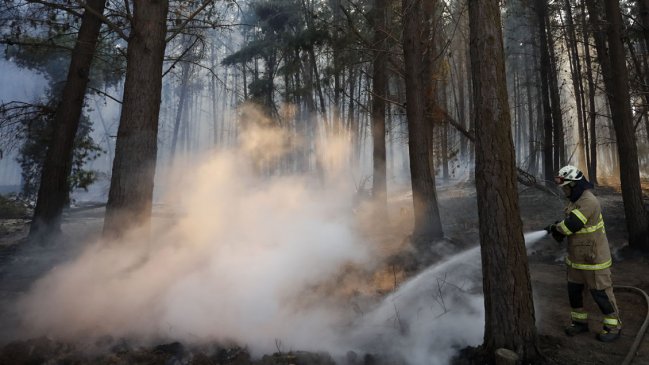 Inusual ocurrencia de incendios forestales en invierno obligó a Conaf a adelantar su plan de combate