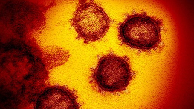 Experto de Oxford: Inmunidad de grupo 