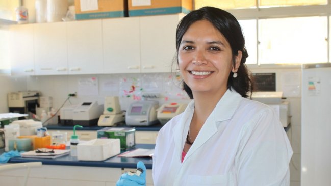 Científicos alemanes homenajean a constituyente Cristina Dorador: Dan su nombre a nuevos microorganismos