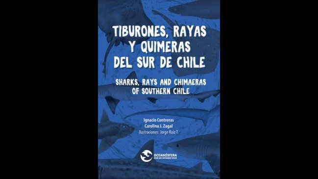 Gratuita: lanzan guía sobre tiburones y especies afines del sur de Chile