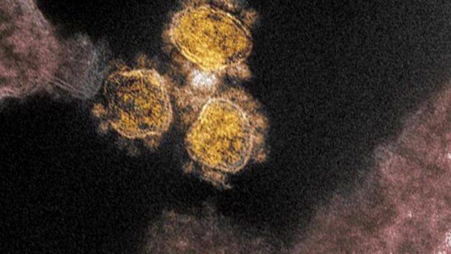 Biden recibió informe de inteligencia sin conclusión sobre el origen del Covid