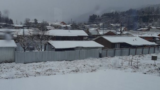 La Araucanía: 1.500 personas se encuentran aisladas por nevazón en Lonquimay