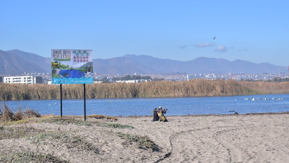 Desembocadura del Río Elqui pronto será declarada humedal urbano según Medio Ambiente
