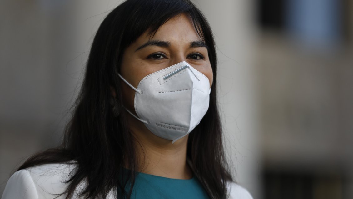 Siches ironizó con candidatura de Mañalich: Ojalá se vuelva un eventual senador buena persona