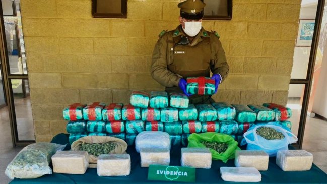 Hombre fue detenido con 52 kilos de droga en Los Vilos