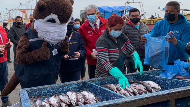 Comenzó la veda de la merluza en todo el territorio nacional