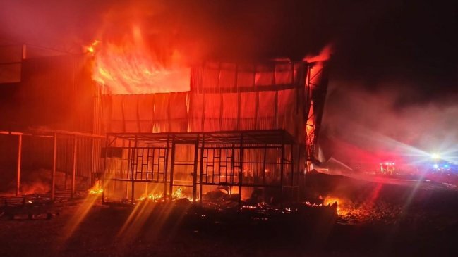 Desconocidos quemaron 12 camiones en ruta que une Labranza con Nueva Imperial