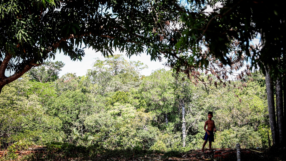 Más de 200 revistas científicas piden medidas urgentes para enfrentar el cambio climático