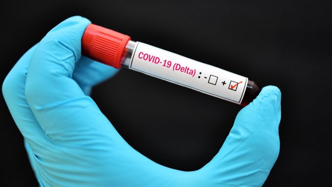 Dos brotes en San Clemente elevan a 35 los casos de variante Delta en el Maule