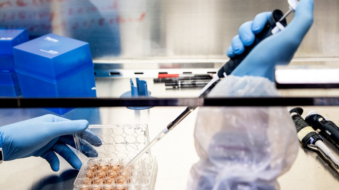 Universidad de Chile construirá planta para fabricar vacunas de laboratorio italiano