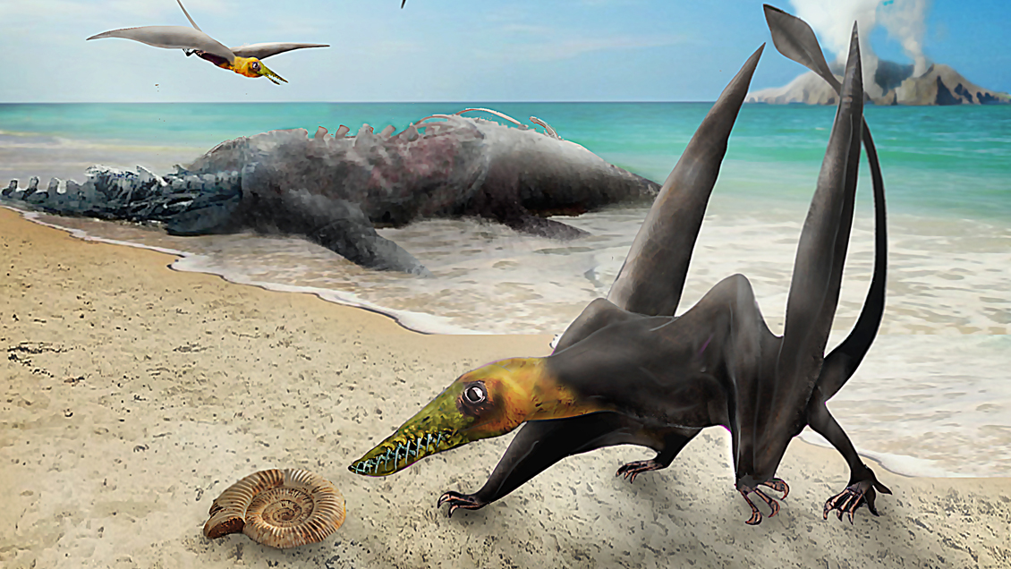 Investigadores hallaron enigmático 