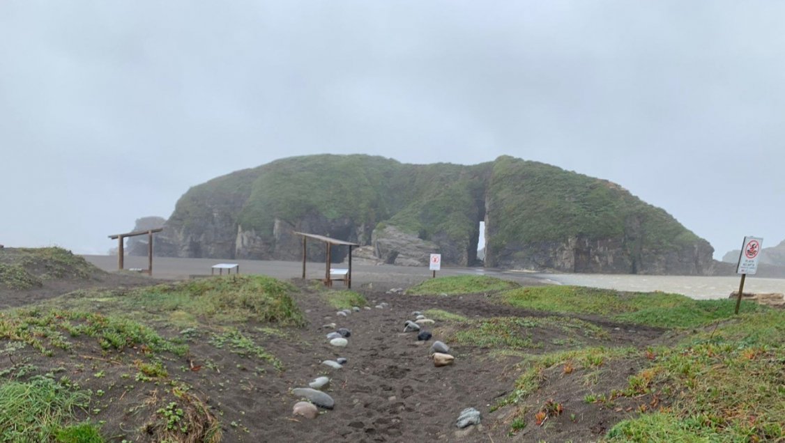 Equipo de la Armada encabeza hoy la búsqueda de desaparecidos en Cobquecura