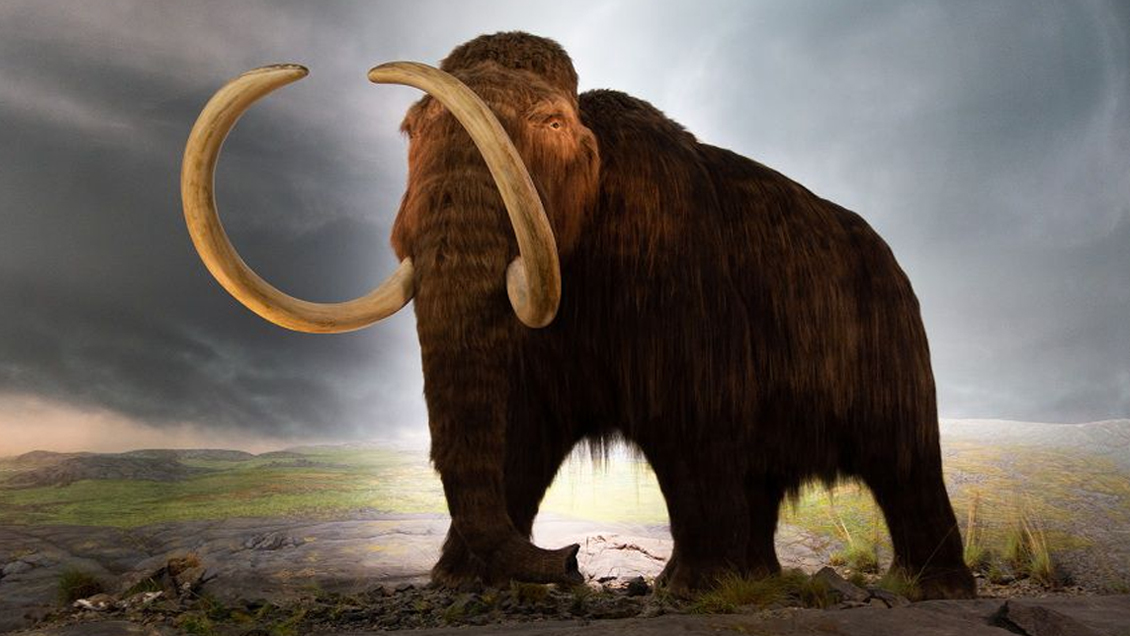 Empresa de genética lanzó proyecto para resucitar a especies extintas y 