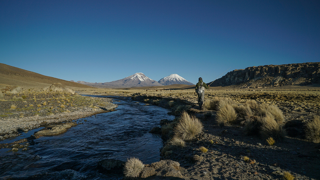 La Unesco amplió la reserva de la biosfera de Lauca, hogar de un tercio de la fauna chilena
