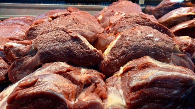 Fiestas Patrias: Más de dos toneladas de carne se han decomisado en el Biobío